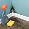 Spray bottle and sponge near black mould wall. House cleaning concept